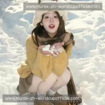 刘稳鹏